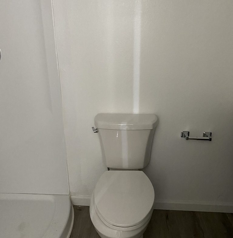 A white toilet sitting in the corner of a bathroom.