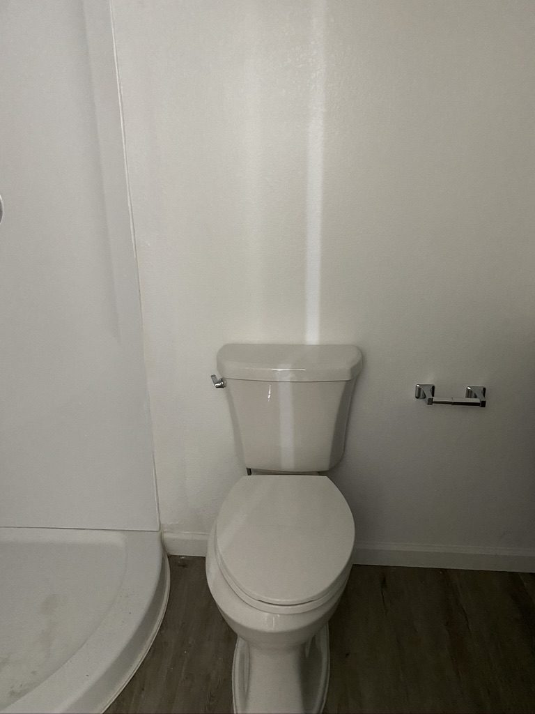 A white toilet sitting in the corner of a bathroom.